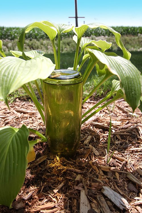 Best ideas about DIY Plant Waterer
. Save or Pin DIY Automatic Plant Waterer Now.