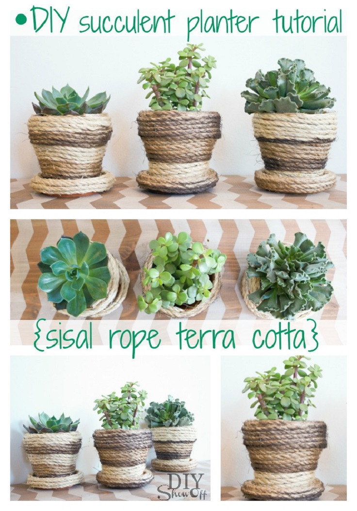 Best ideas about DIY Plants Pots
. Save or Pin TOP 10 Fun DIY Projects with Succulent Plants Now.