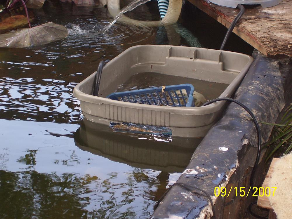 Best ideas about DIY Pond Skimmer Plans
. Save or Pin diy skimmer Now.