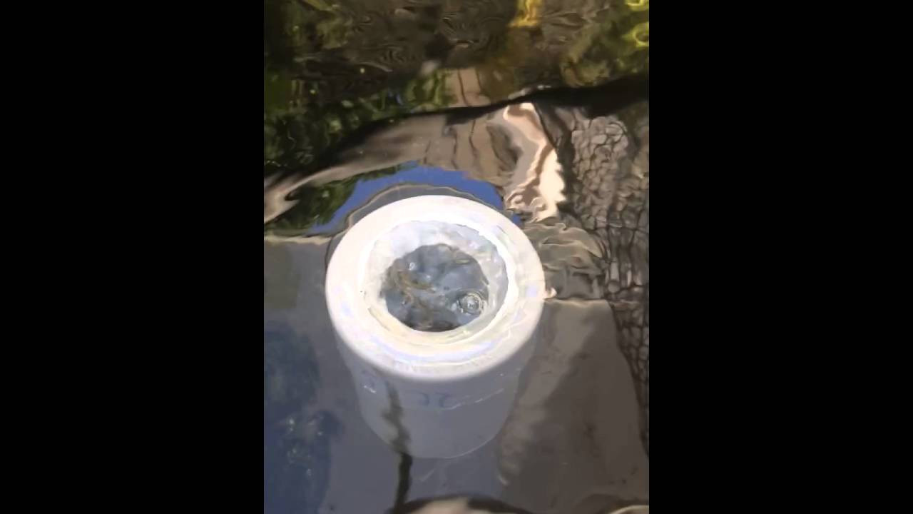 Best ideas about DIY Pond Skimmer
. Save or Pin DIY Koi pond floating surface skimmer Now.