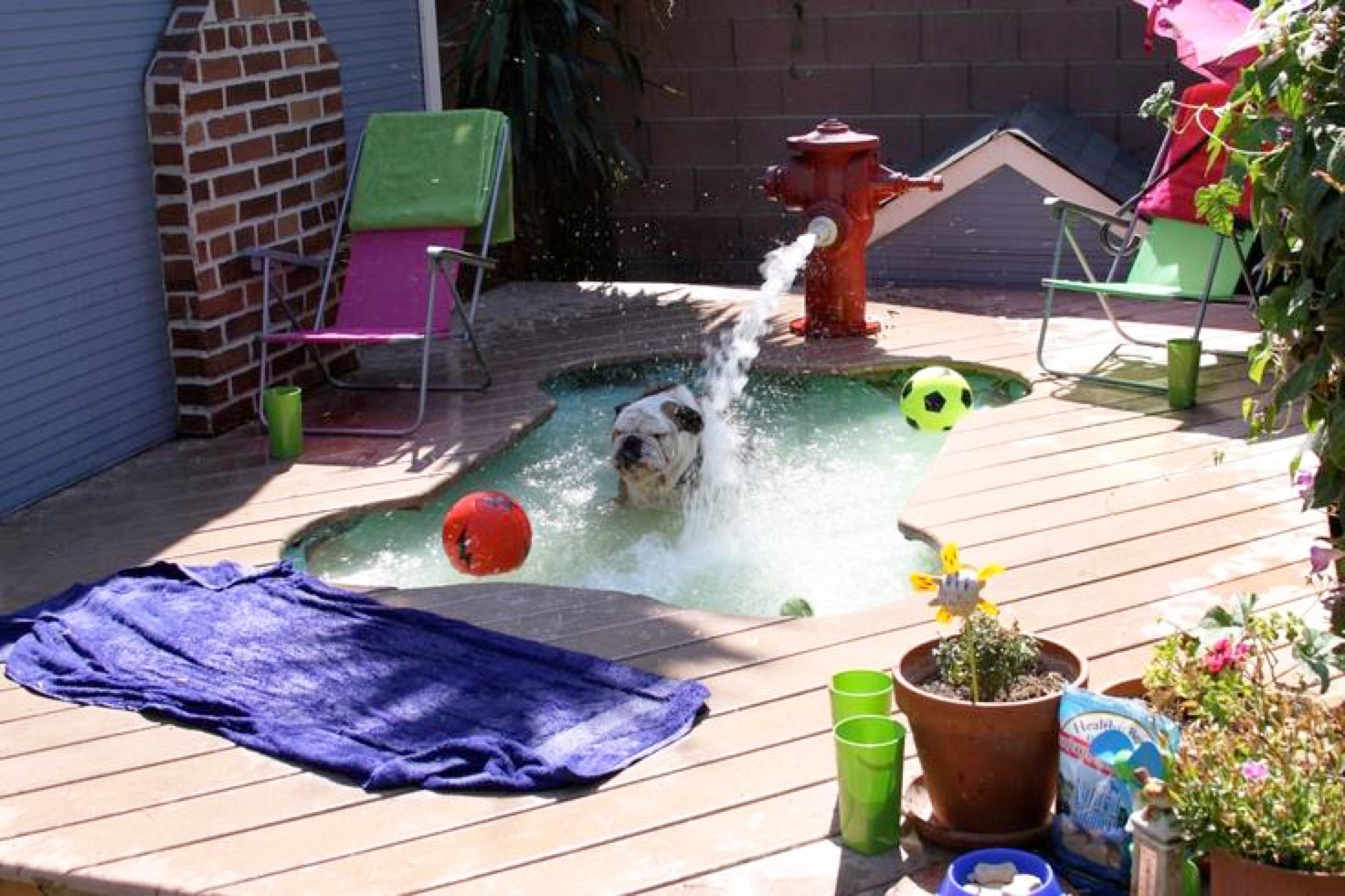 Best ideas about DIY Pool Fountain
. Save or Pin Build a DIY Dog Pool to Keep Your Pup Cool Now.