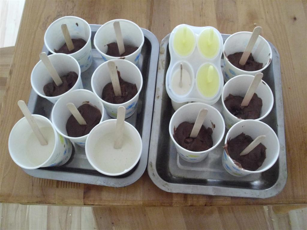 Best ideas about DIY Popsicle Molds
. Save or Pin The Do It Yourself Mom DIY Pudding Pops Now.