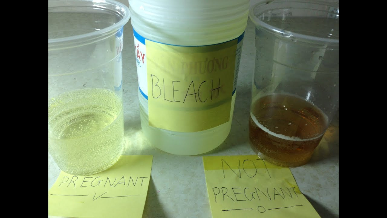 Best ideas about DIY Pregnancy Test
. Save or Pin Homemade Pregnancy Test With Bleach 💯 Accurate Now.