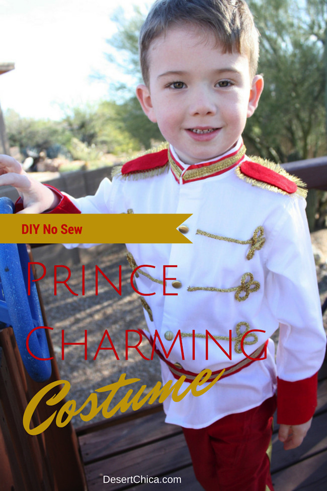 Best ideas about DIY Prince Charming Costume
. Save or Pin No Sew Prince Charming Costume DIY Tutorial Now.