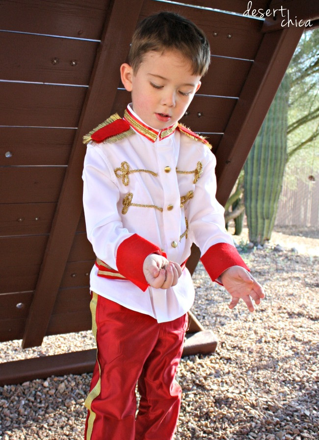 Best ideas about DIY Prince Charming Costume
. Save or Pin No Sew Prince Charming Costume DIY Tutorial Now.