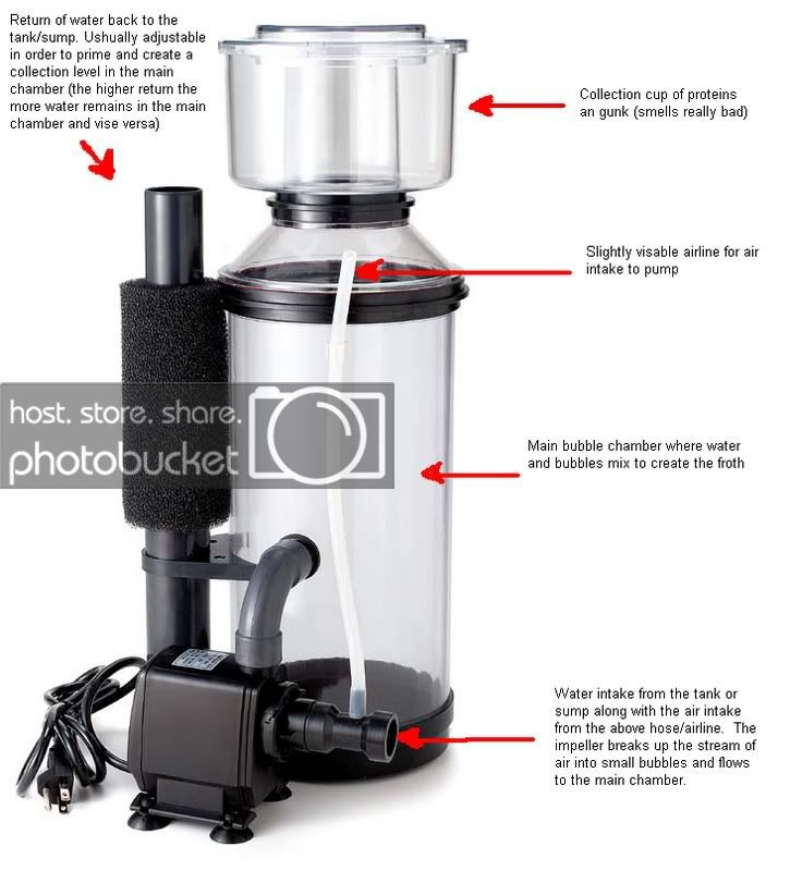 Best ideas about DIY Protein Skimmer
. Save or Pin DIY Protein Skimmers Now.