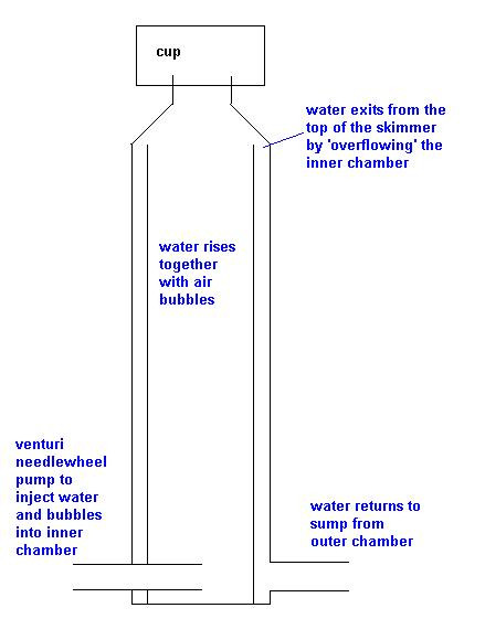 Best ideas about DIY Protein Skimmer Plans
. Save or Pin Protein Skimmer Design DIY Forum Singapore Reef Club Now.