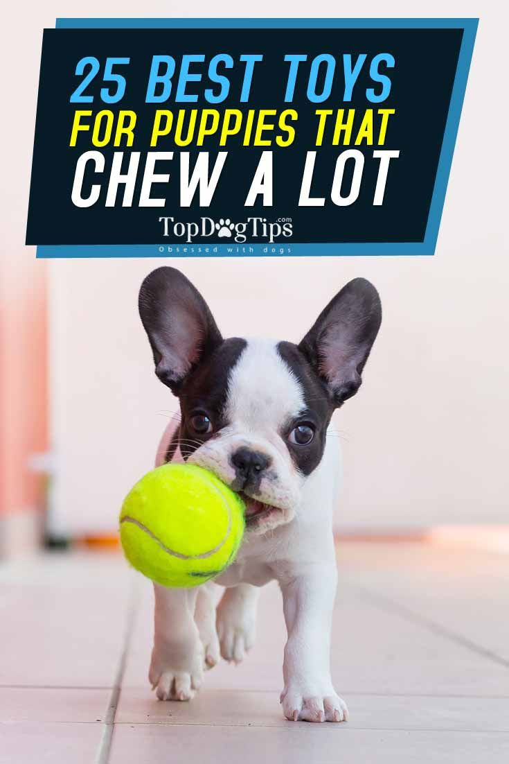 Best ideas about DIY Puppy Teething Toys
. Save or Pin Best 25 Puppy teething toys ideas on Pinterest Now.