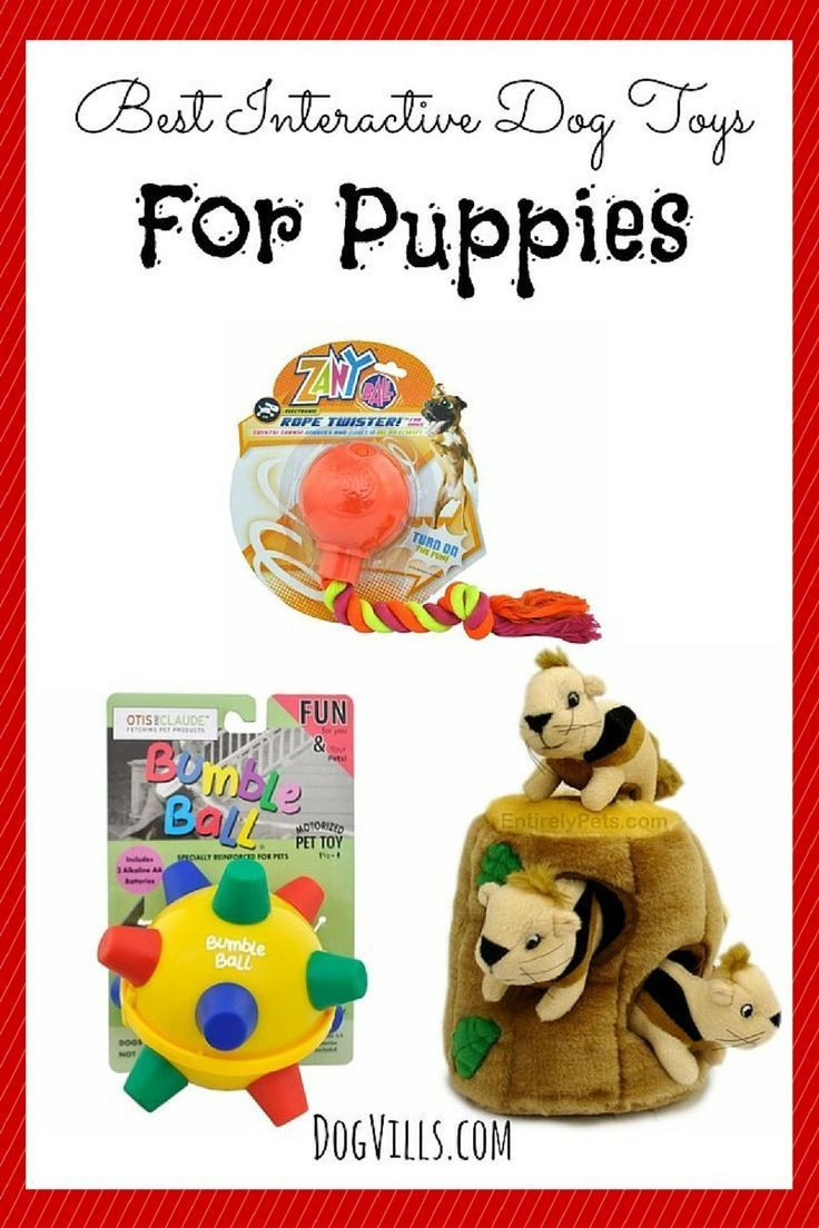 Best ideas about DIY Puppy Teething Toys
. Save or Pin Best 25 Puppy teething toys ideas on Pinterest Now.