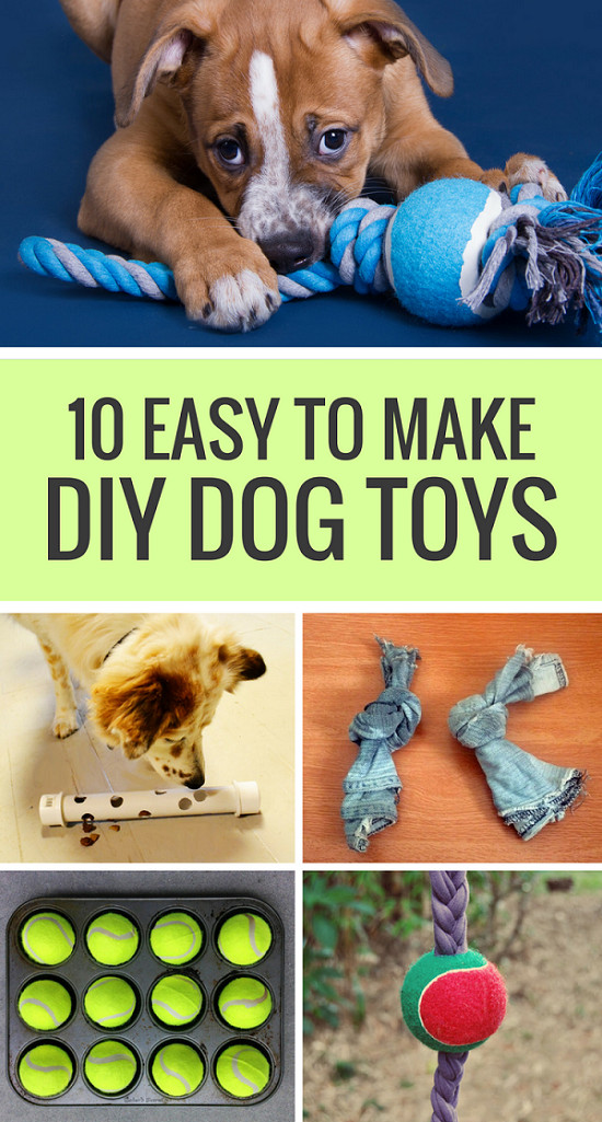 Best ideas about DIY Puppy Toys
. Save or Pin 10 Easy to Make DIY Dog Toys Puppy Leaks Now.