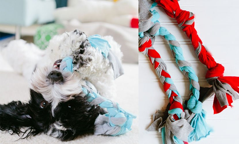 Best ideas about DIY Puppy Toys
. Save or Pin Easy DIY Dog Toy The Braid Now.