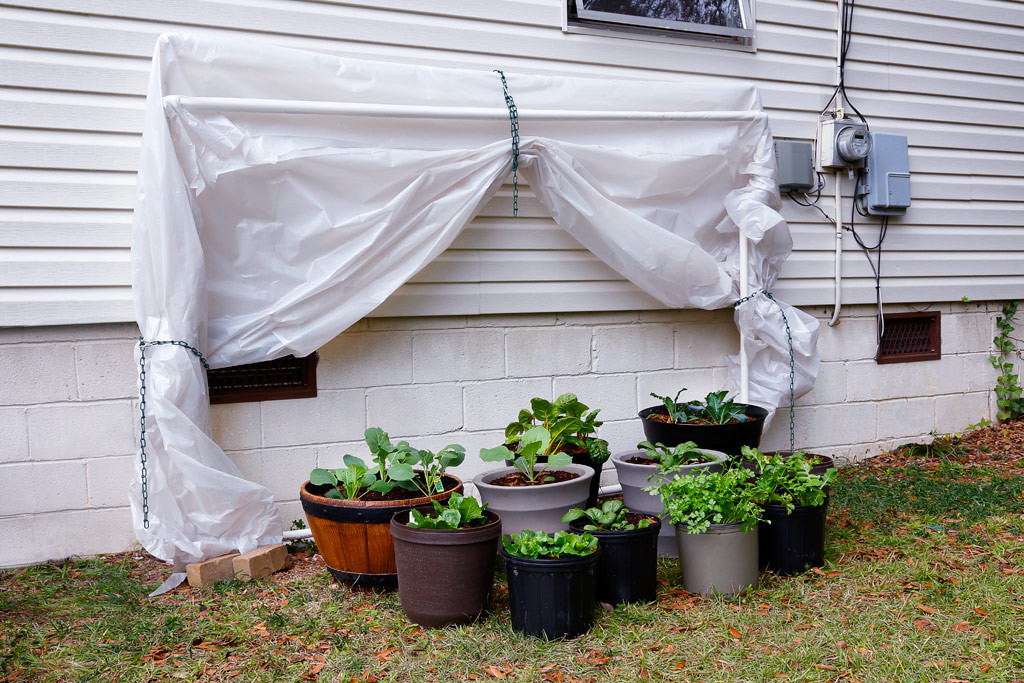 Best ideas about DIY Pvc Greenhouse
. Save or Pin 20 Inspiring PVC Pipe Projects for Gardeners Now.