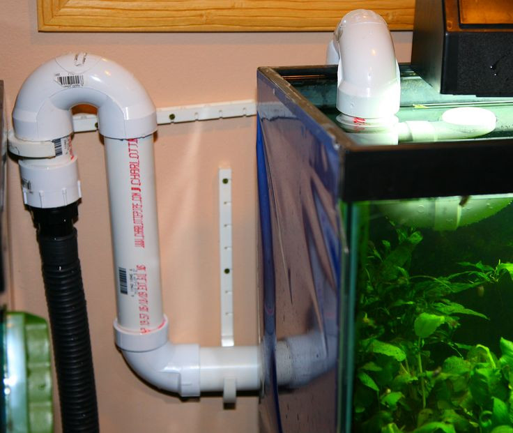 Best ideas about DIY Pvc Overflow Plans
. Save or Pin Easy DIY automatic water change system for less then $50 Now.