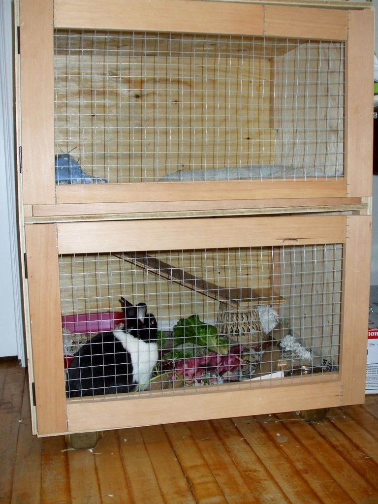 Best ideas about DIY Rabbit Cage
. Save or Pin DIY Two Story Rabbit Hutch petdiys Now.