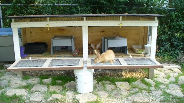 Best ideas about DIY Rabbit Hutch
. Save or Pin 10 Free Rabbit Hutch Building Plans and Designs Now.