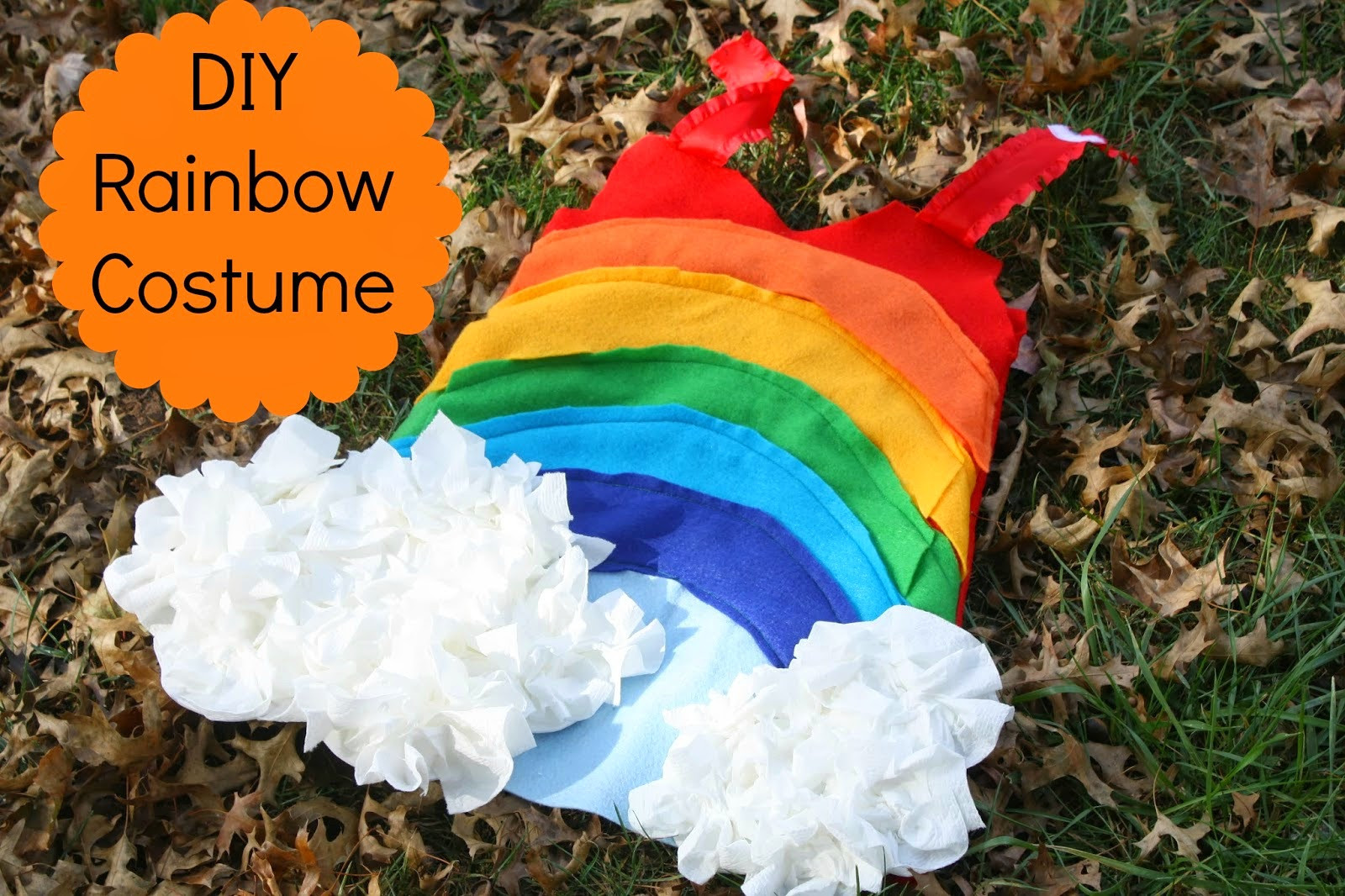 Best ideas about DIY Rainbow Costume
. Save or Pin DIY Rainbow Costume The Chirping Moms Now.