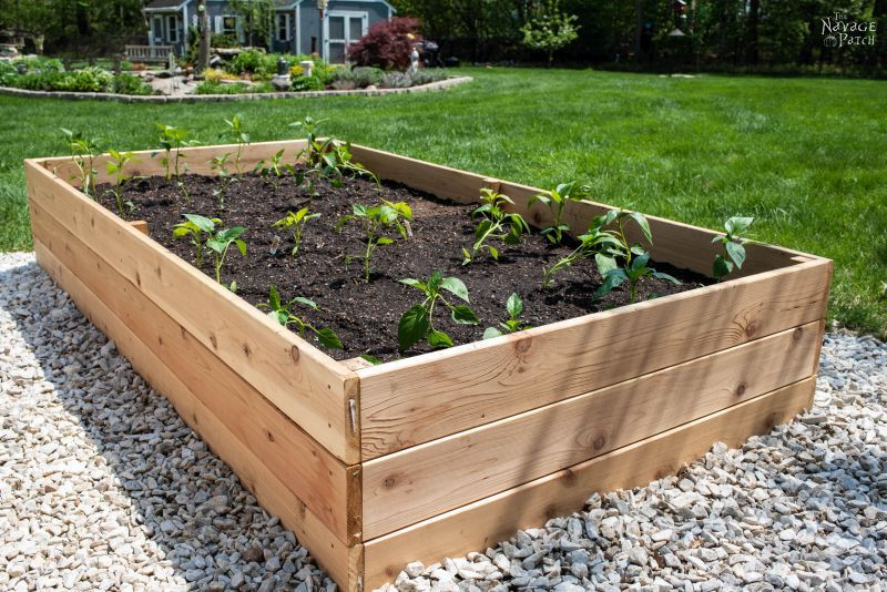 Best ideas about DIY Raised Garden Bed
. Save or Pin DIY Raised Garden Beds Tutorial The Navage Patch Now.