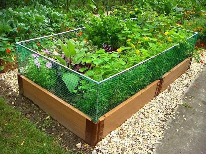 Best ideas about DIY Raised Garden Beds Cheap
. Save or Pin Best 25 Cheap raised garden beds ideas on Pinterest Now.