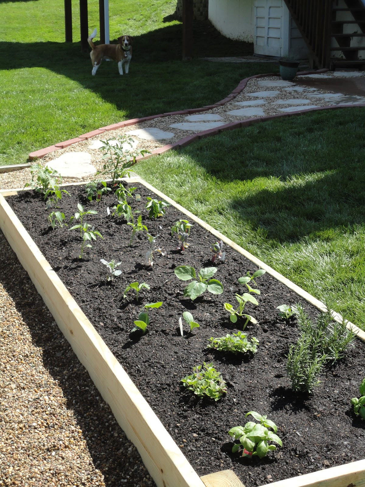 Best ideas about DIY Raised Garden
. Save or Pin Vanilla Bean DIY Raised Garden Bed Now.