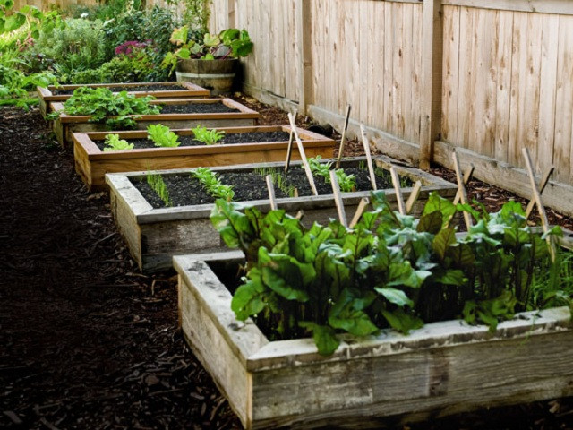 Best ideas about DIY Raised Vegetable Garden
. Save or Pin 15 Beautiful DIY Raised Garden Bed Projects Now.