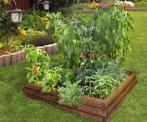 Best ideas about DIY Raised Vegetable Garden
. Save or Pin DIY Raised beds in the ve able garden – ideas and materials Now.