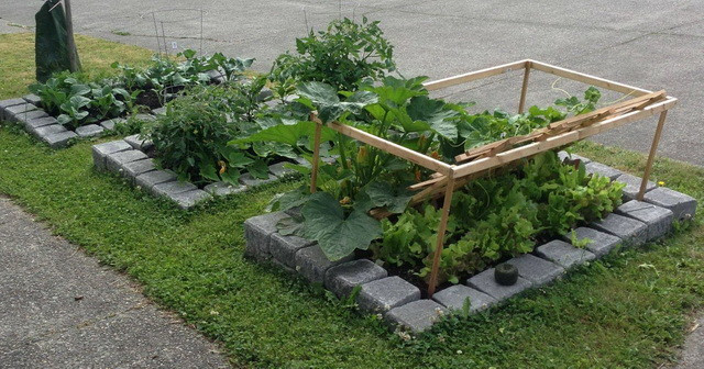 Best ideas about DIY Raised Vegetable Garden
. Save or Pin How To Build A Raised Bed Ve able Garden DIY Now.