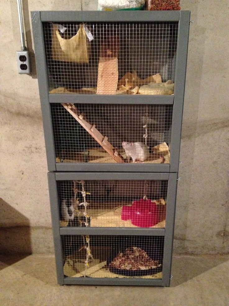 Best ideas about DIY Rat Cage
. Save or Pin 1000 images about Nifty Rat Cages and Toys on Pinterest Now.