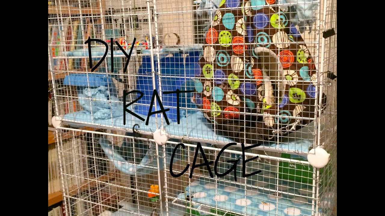 Best ideas about DIY Rat Cage
. Save or Pin DIY C&C Rat Cage Now.