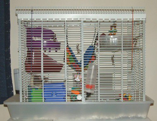 Best ideas about DIY Rat Cage
. Save or Pin Homemade Rat Cage Pet Rat Cages Build a Rat Cage Now.