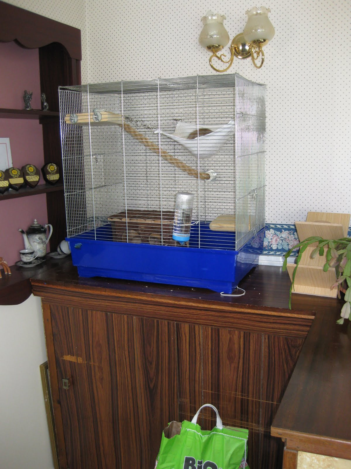 Best ideas about DIY Rat Cage
. Save or Pin Blog DIY rat cage 1 Now.