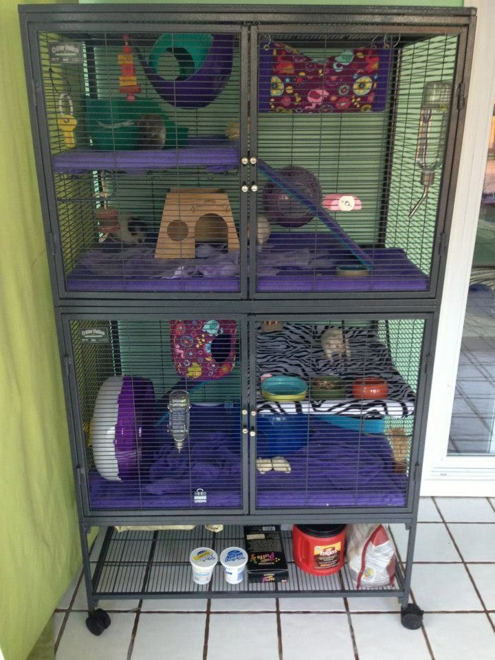 Best ideas about DIY Rat Cage
. Save or Pin Diy Rat Cage 35 meowlogy Now.