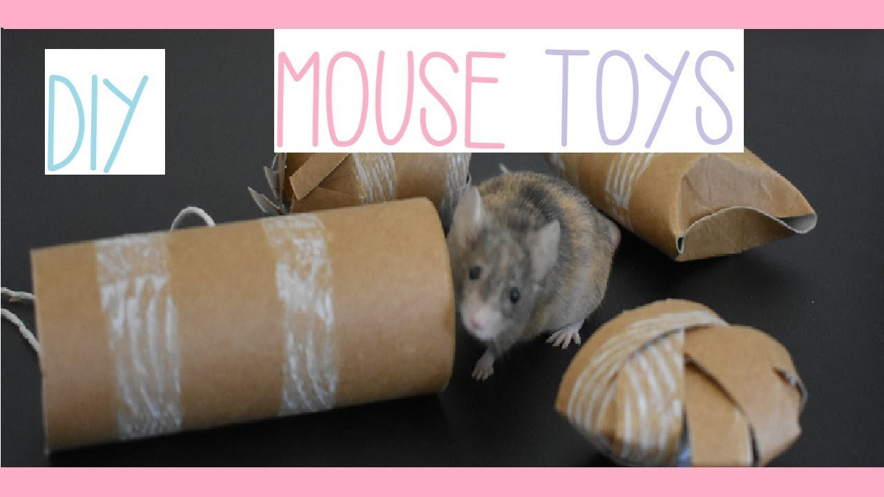 Best ideas about DIY Rat Toys
. Save or Pin DIY MOUSE ENRICHMENT TOYS ♡DIY with Daisy♡ Now.