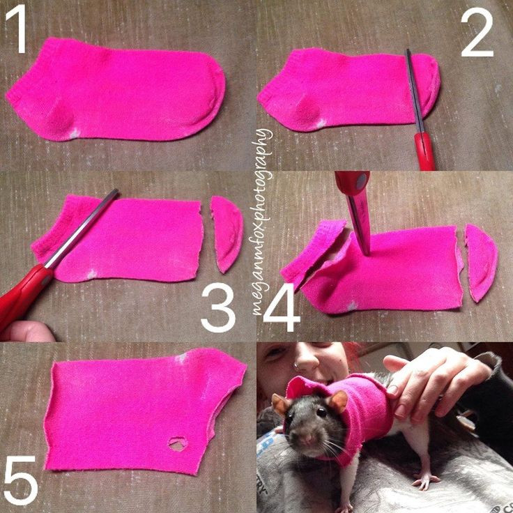 Best ideas about DIY Rat Toys
. Save or Pin 25 best images about RAT COSTUMES on Pinterest Now.