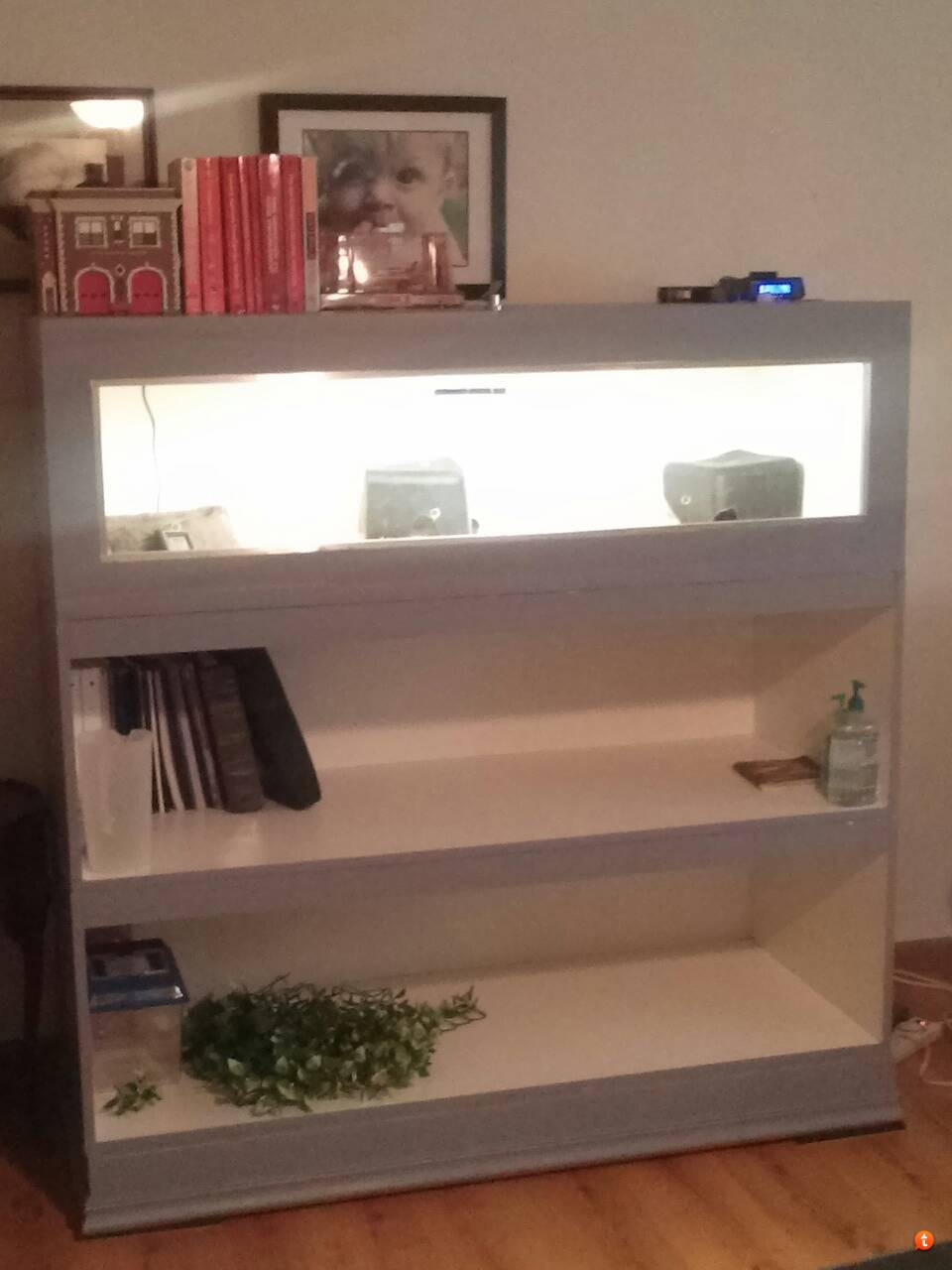 Best ideas about DIY Reptile Enclosure
. Save or Pin My DIY bookcase enclosure Project Now.