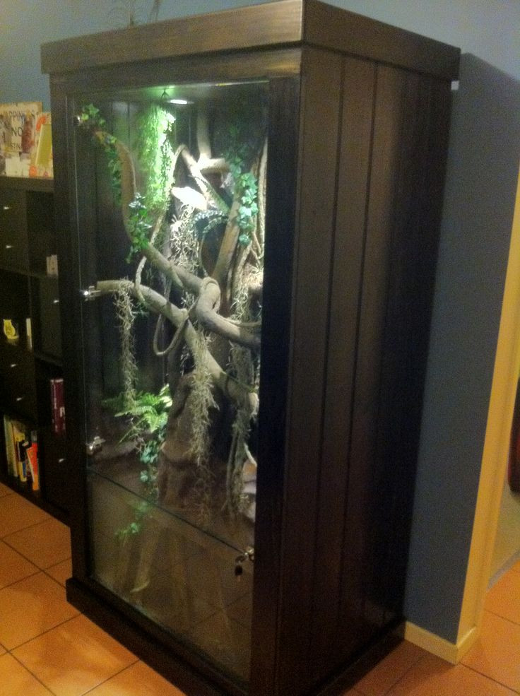 Best ideas about DIY Reptile Enclosure
. Save or Pin Reptile Enclosure Awesome DIY for pets Now.