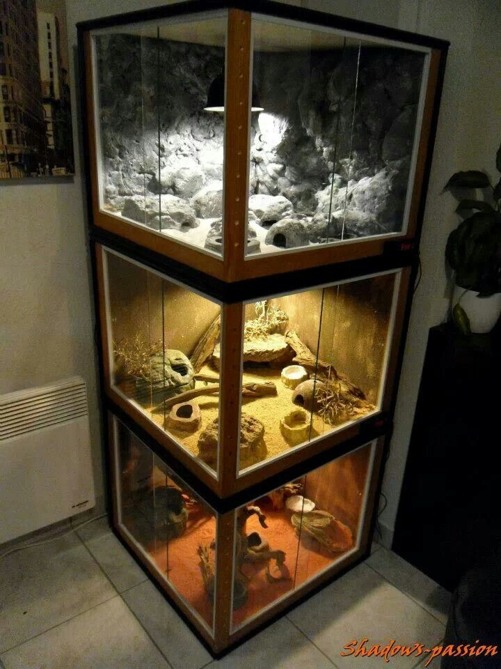 Best ideas about DIY Reptile Enclosure
. Save or Pin 33 best images about DIY for the Reptile Hobbyist on Now.