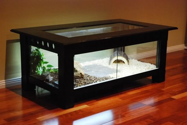 Best ideas about DIY Reptile Enclosure
. Save or Pin DIY Reptile Enclosure Coffee Table Now.