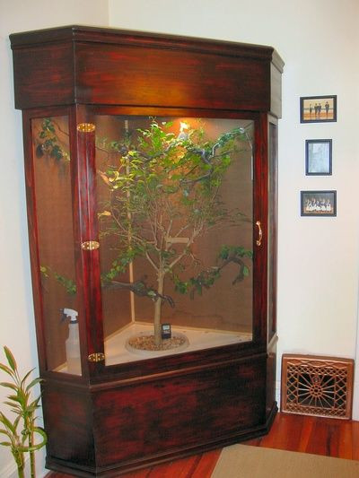 Best ideas about DIY Reptile Enclosure
. Save or Pin 33 best DIY for the Reptile Hobbyist images on Pinterest Now.