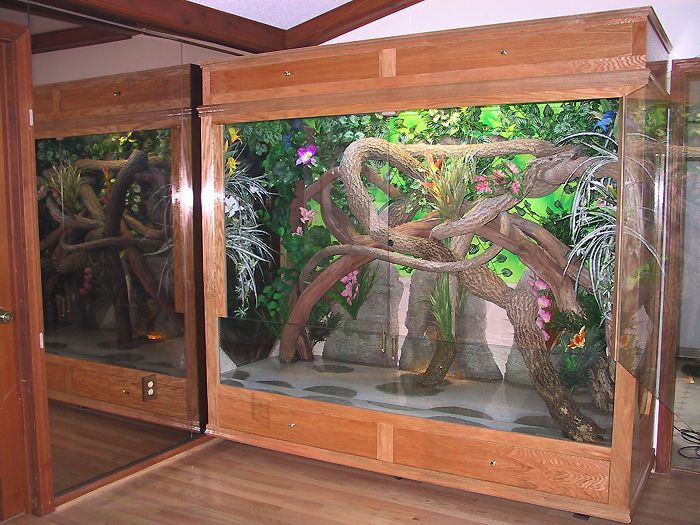 Best ideas about DIY Reptile Enclosure
. Save or Pin 112 best DIY Reptile Cages images on Pinterest Now.