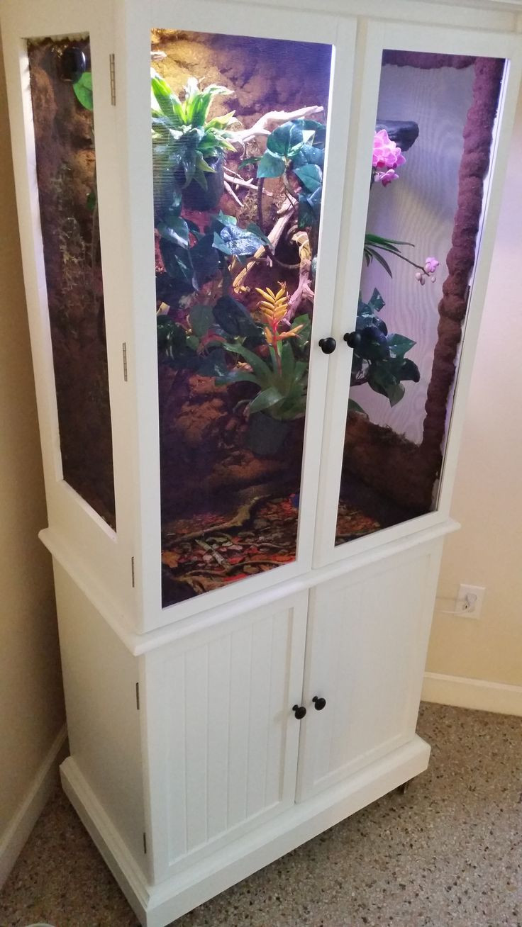 Best ideas about DIY Reptile Enclosure
. Save or Pin Best 25 Reptile cage ideas on Pinterest Now.