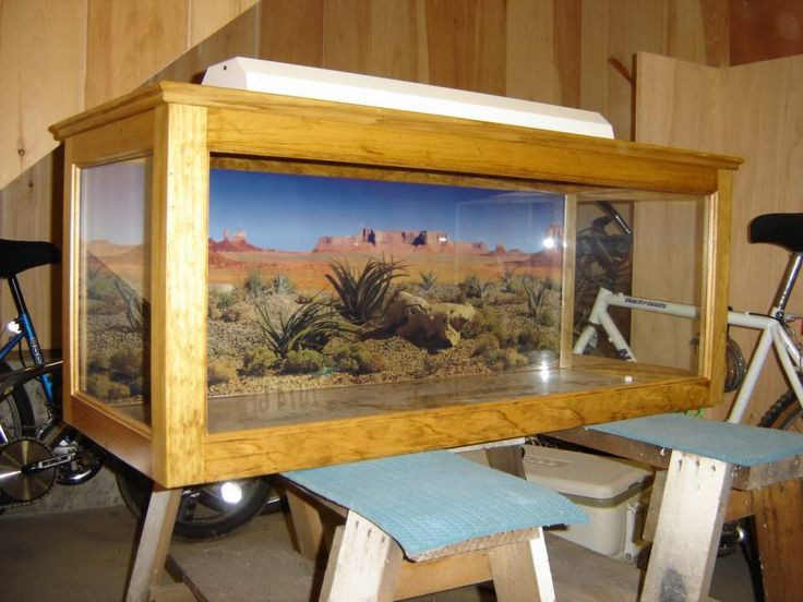 Best ideas about DIY Reptile Enclosure
. Save or Pin DIY reptile enclosures Bearded dragons Now.