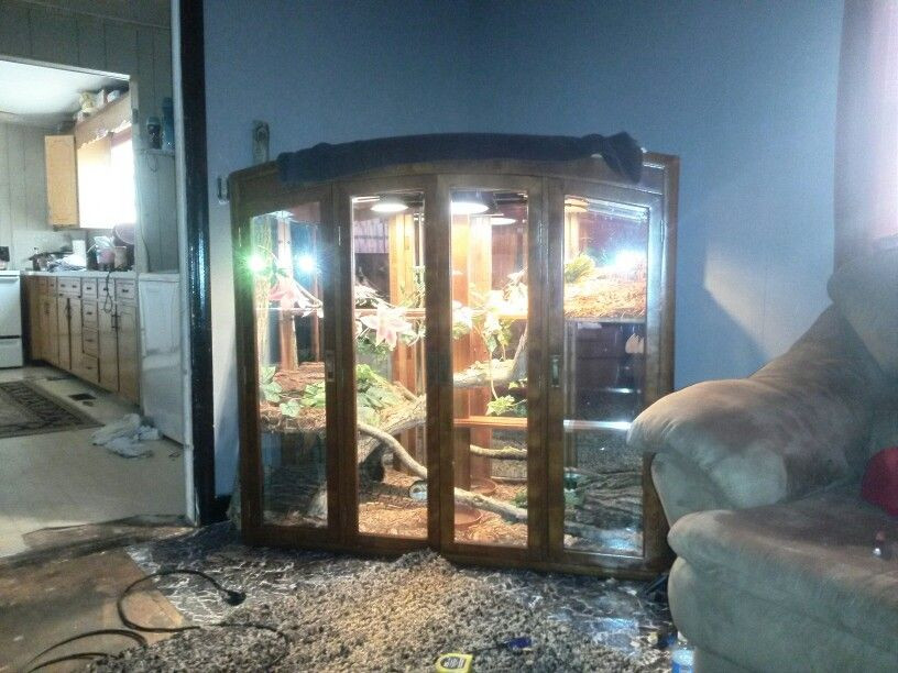 Best ideas about DIY Reptile Enclosure
. Save or Pin Pinterest Discover and save creative ideas Now.