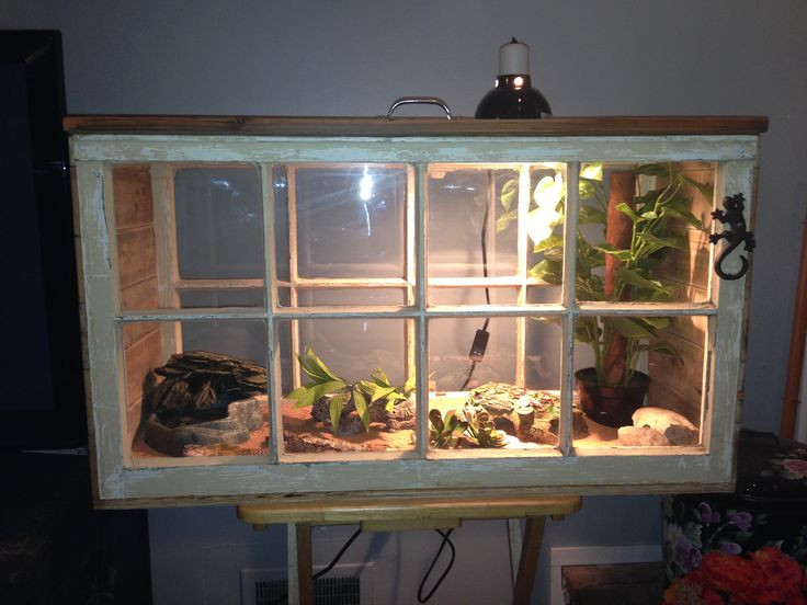 Best ideas about DIY Reptile Enclosure
. Save or Pin 163 best Bunnies images on Pinterest Now.