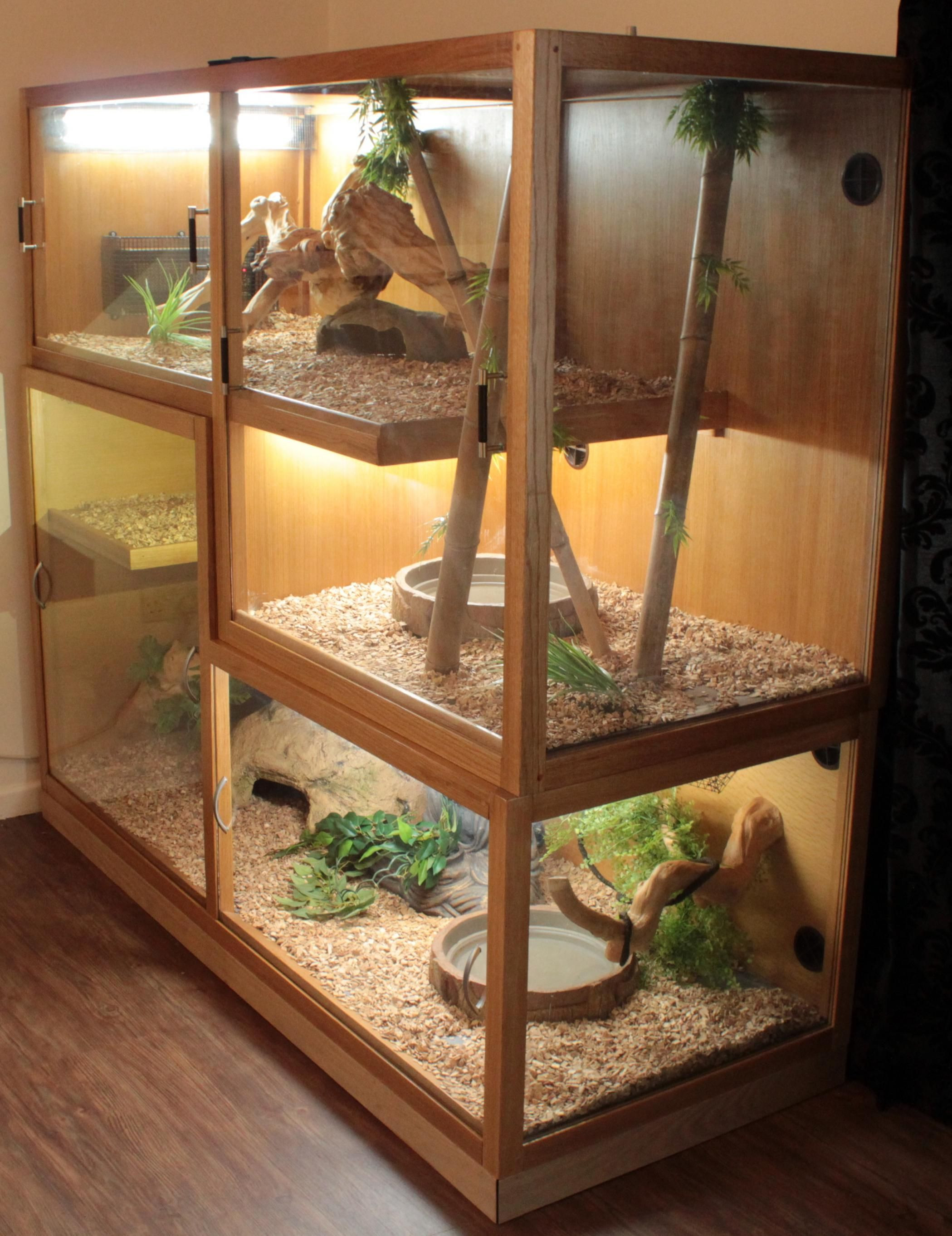 Best ideas about DIY Reptile Enclosure
. Save or Pin 25 Awesome Diy Reptile Enclosure meowlogy Now.