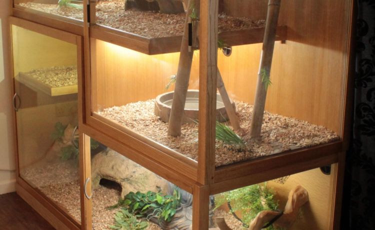 Best ideas about DIY Reptile Enclosure
. Save or Pin 25 Awesome Diy Reptile Enclosure meowlogy Now.