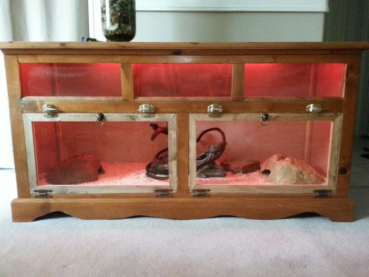 Best ideas about DIY Reptile Enclosure
. Save or Pin Homemade Reptile Cage DIY Snake Enclosure Now.