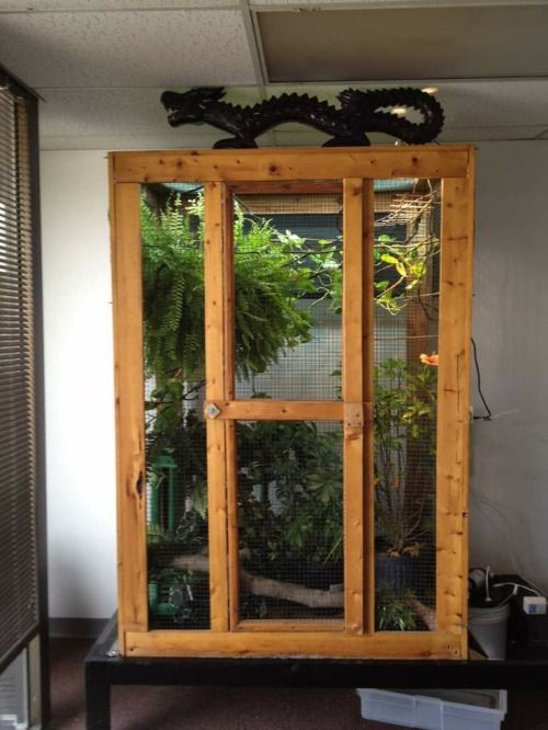 Best ideas about DIY Reptile Enclosure Plans
. Save or Pin Best 25 Iguana cage ideas on Pinterest Now.