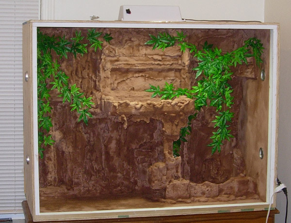 Best ideas about DIY Reptile Enclosure Plans
. Save or Pin How to build enclosures for reptiles custom snake cages Now.
