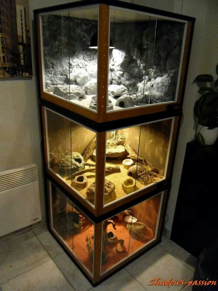 Best ideas about DIY Reptile Terrarium
. Save or Pin 33 best images about DIY for the Reptile Hobbyist on Now.