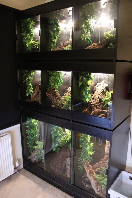 Best ideas about DIY Reptile Terrarium
. Save or Pin Cas and Python on Pinterest Now.